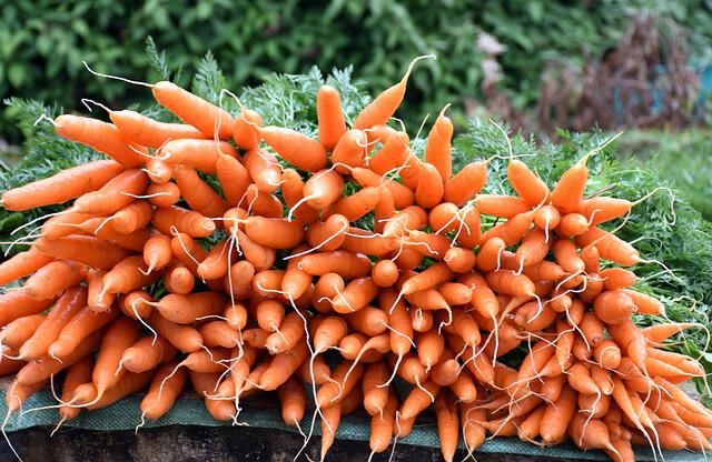 Carrots