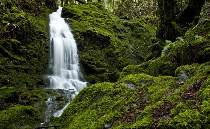 Camp Meeker Waterfall