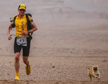Extreme Marathon Runner Reunited With Stray Dog Through Global Online Campaign