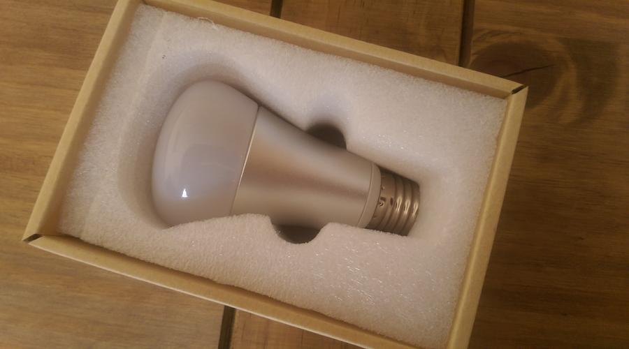 Lombex bulb packed securely