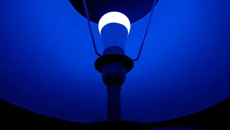 Lombex Smart LED Light Bulb – DETAILED Review
