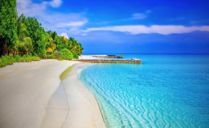 Scenic view of beach