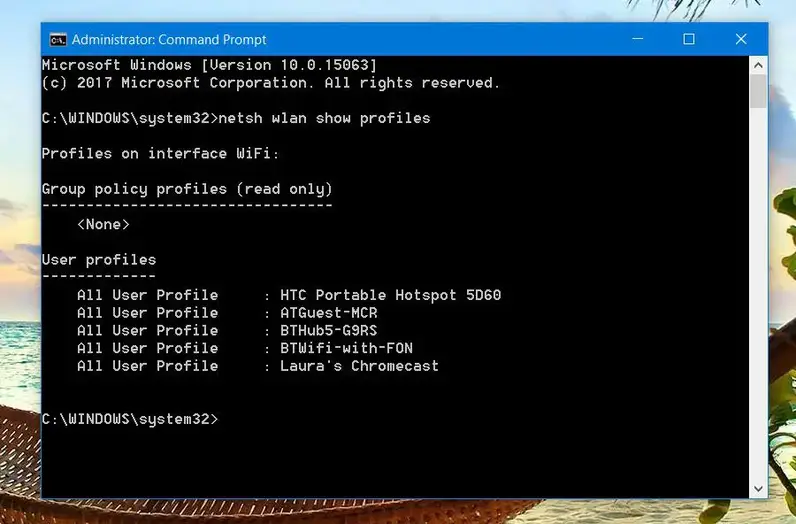 Show network profiles windows command prompt (cmd)