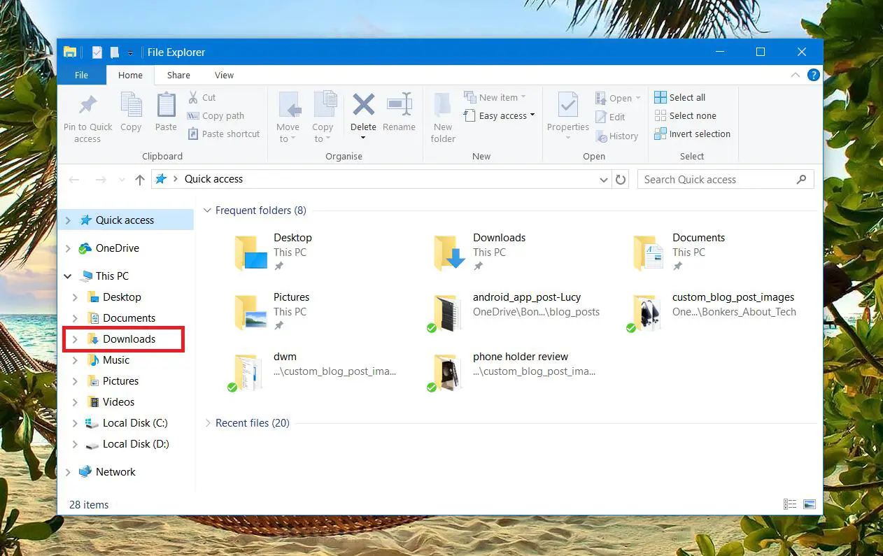 Windows file explorer downloads folder
