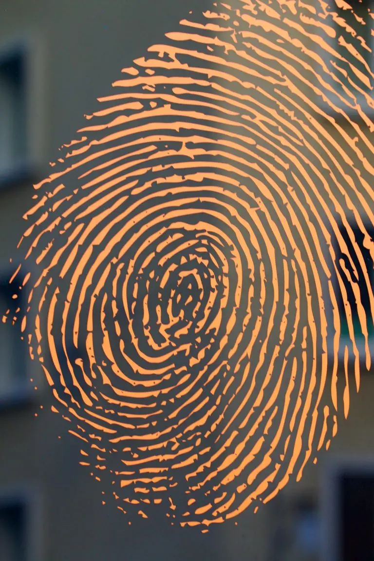 New Browser Fingerprinting Technique Could Take Online Tracking To A Whole New Level